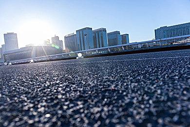 世界爱猫日 《潜行者2》分享“可爱”猫怪设计图