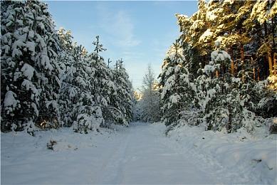 《魔界战记7》日服eshop开启预售 1月26日正式发售