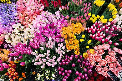 《荒野大镖客》PS4和NS版截图欣赏 售价49.99美元